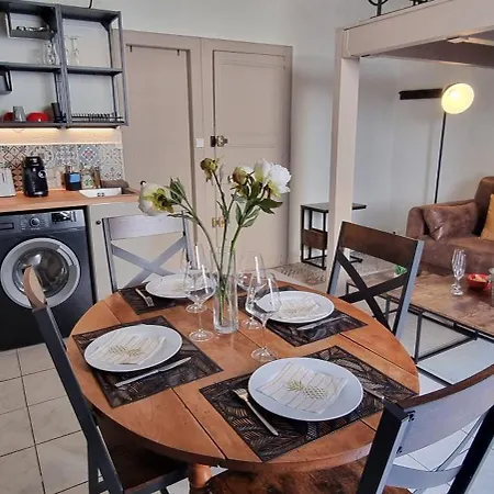 Apartment Le Montmorency 35 Authentique Centre Historique Climatisation